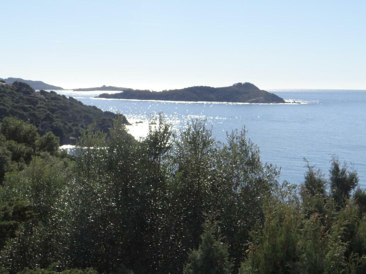 Appartement Vue Mer, Presqu'Il De Giens Hyères Kültér fotó