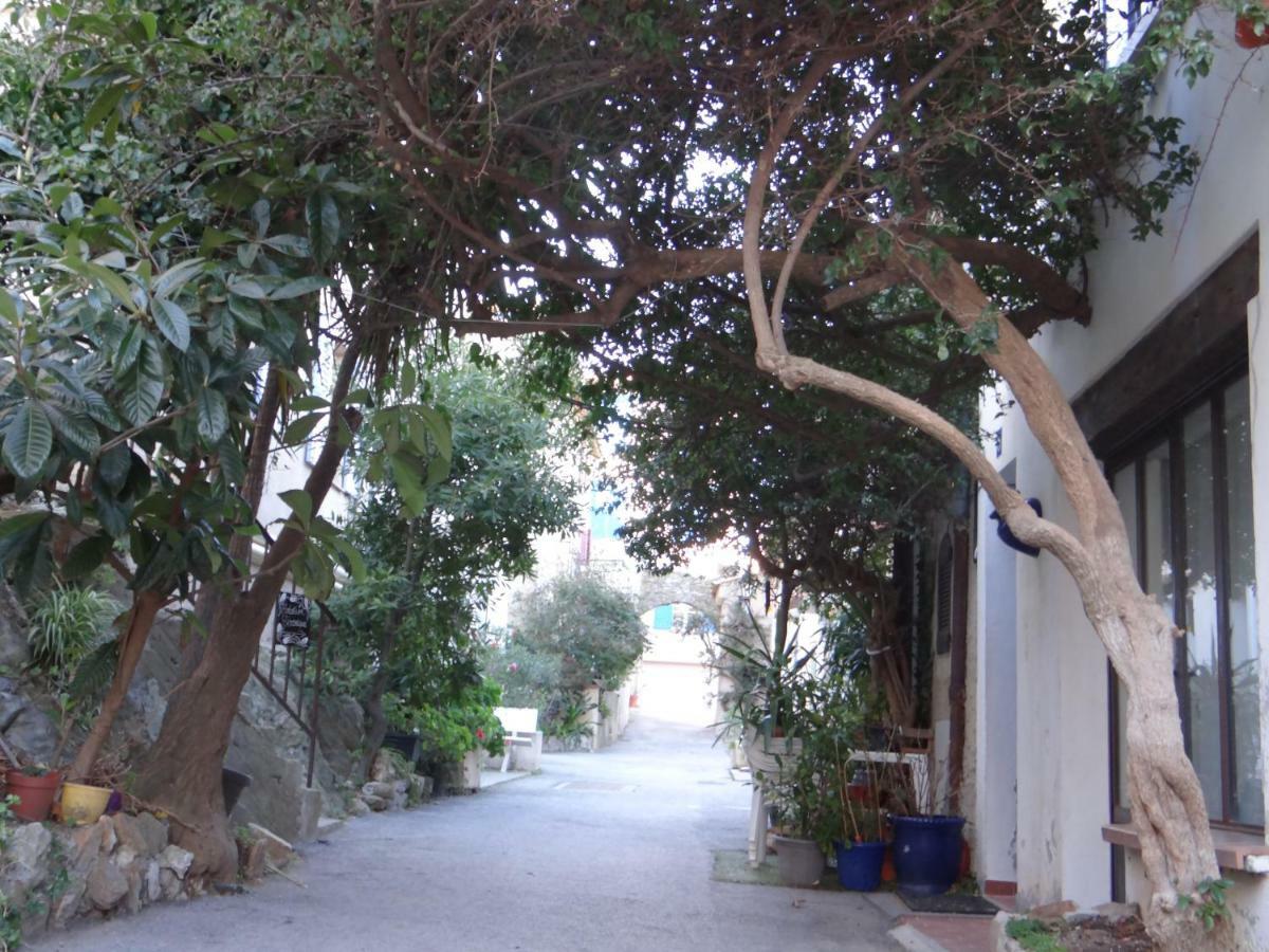 Appartement Vue Mer, Presqu'Il De Giens Hyères Kültér fotó